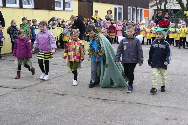 A w przedszkolu roje pszczół (dużo zdjęć)