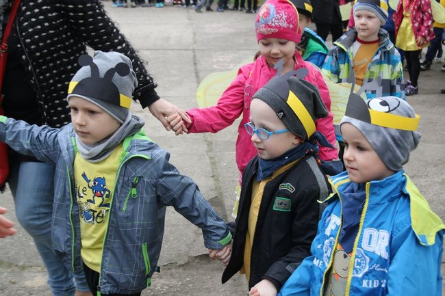 A w przedszkolu roje pszczół (dużo zdjęć)