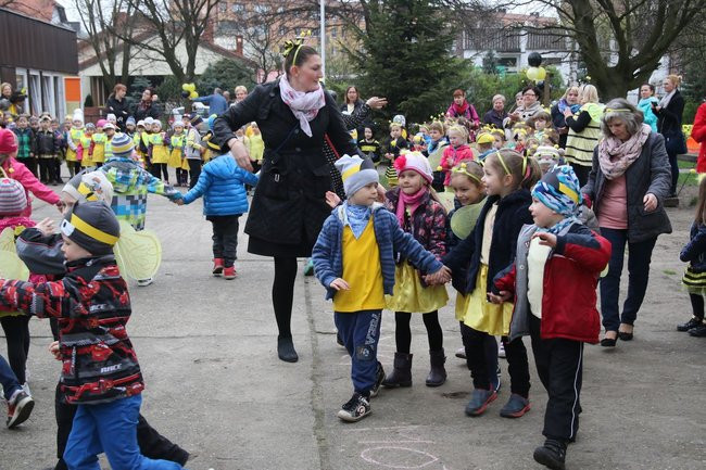 A w przedszkolu roje pszczół (dużo zdjęć)