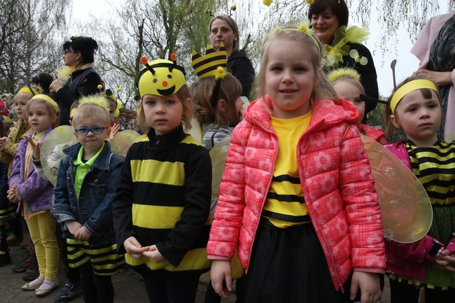 A w przedszkolu roje pszczół (dużo zdjęć)