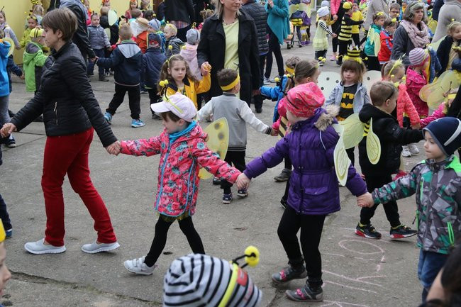 A w przedszkolu roje pszczół (dużo zdjęć)