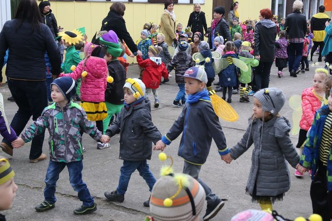 A w przedszkolu roje pszczół (dużo zdjęć)