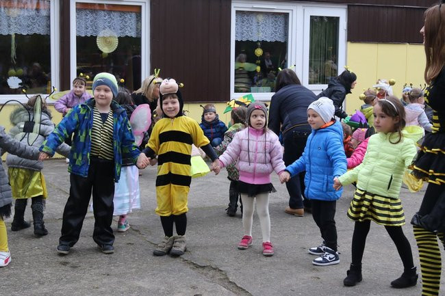 A w przedszkolu roje pszczół (dużo zdjęć)