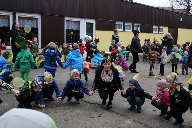 A w przedszkolu roje pszczół (dużo zdjęć)