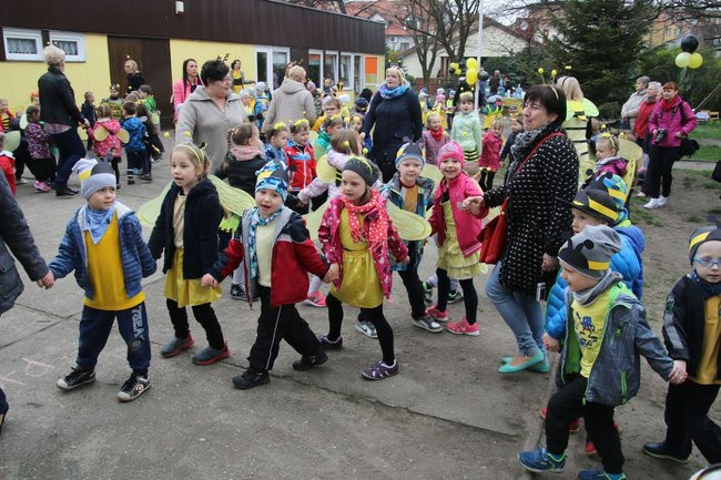 A w przedszkolu roje pszczół (dużo zdjęć)