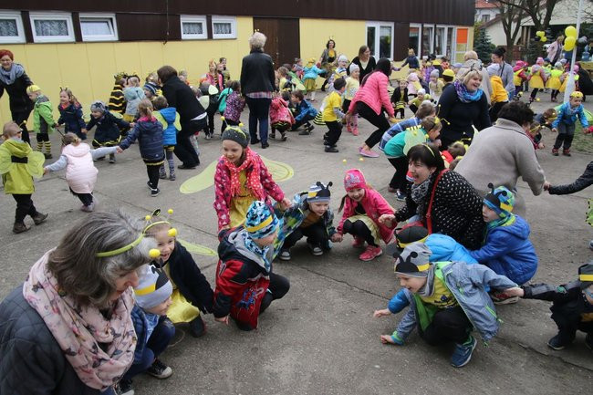A w przedszkolu roje pszczół (dużo zdjęć)