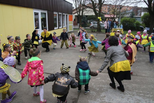 A w przedszkolu roje pszczół (dużo zdjęć)