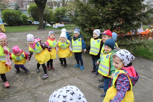 A w przedszkolu roje pszczół (dużo zdjęć)