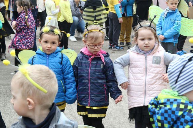 A w przedszkolu roje pszczół (dużo zdjęć)