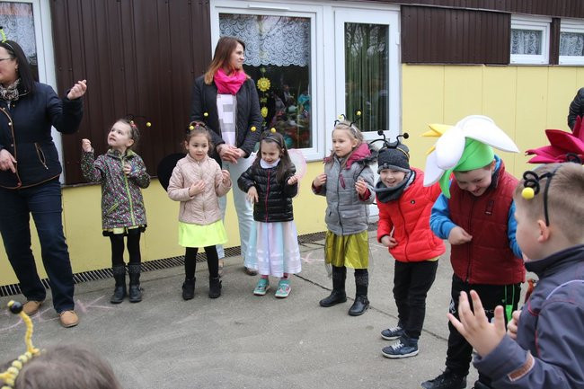 A w przedszkolu roje pszczół (dużo zdjęć)