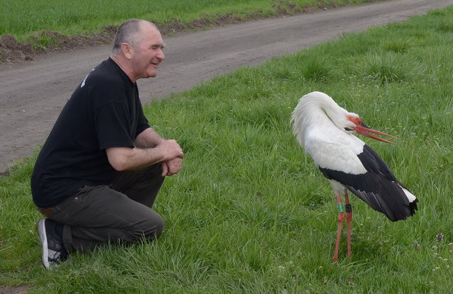 Fikołek zakłada rodzinę (zdjęcia i film)
