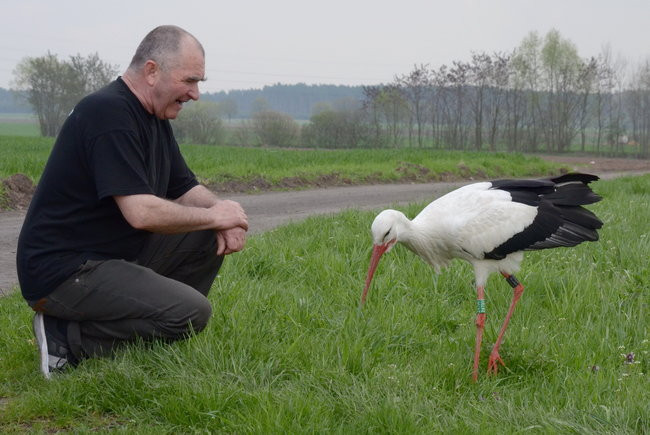 Fikołek zakłada rodzinę (zdjęcia i film)
