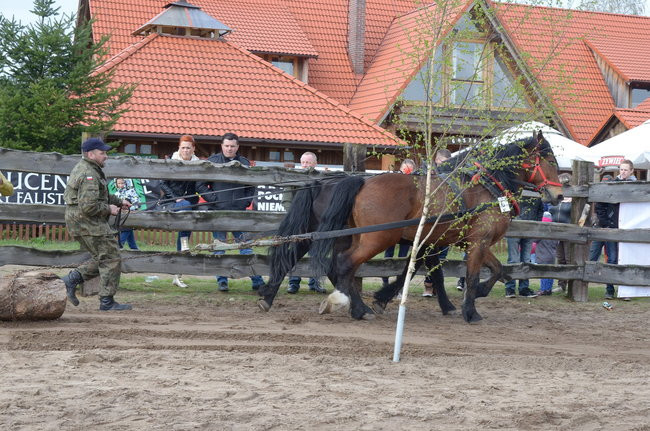 Ubiegłoroczni zwycięzcy powtórzyli sukces (zdjęcia)