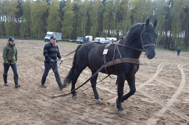Ubiegłoroczni zwycięzcy powtórzyli sukces (zdjęcia)
