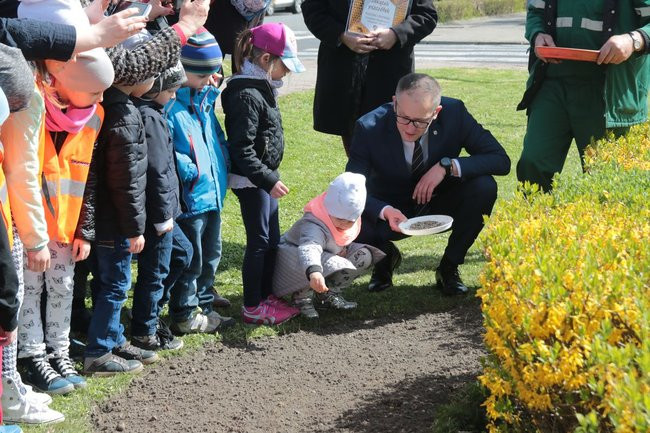 Przedszkolaki zasiały kwiaty przed Urzędem Miasta Leszna (zdjęcia)