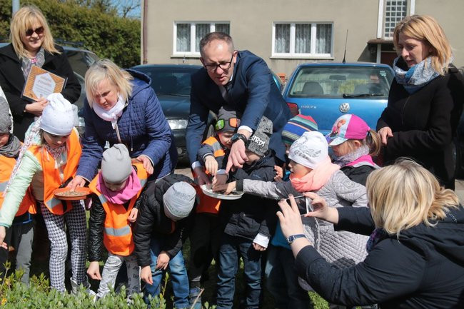 Przedszkolaki zasiały kwiaty przed Urzędem Miasta Leszna (zdjęcia)