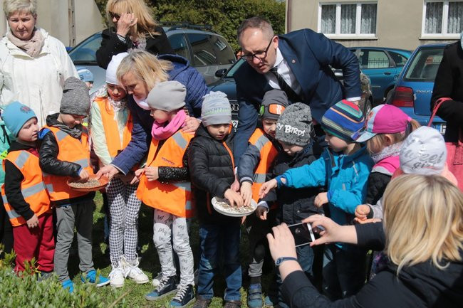 Przedszkolaki zasiały kwiaty przed Urzędem Miasta Leszna (zdjęcia)