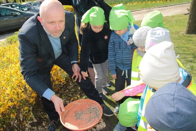 Przedszkolaki zasiały kwiaty przed Urzędem Miasta Leszna (zdjęcia)