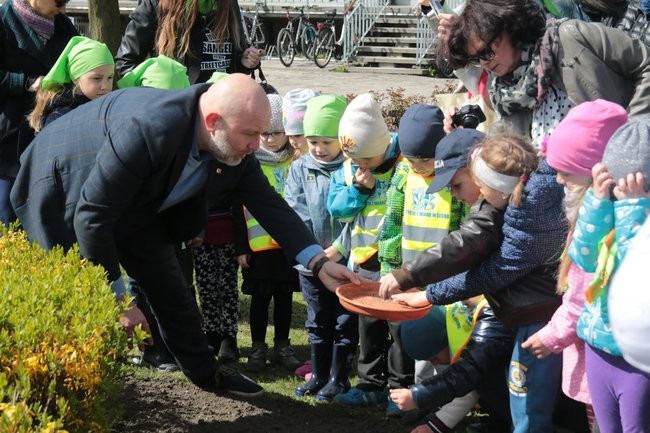 Przedszkolaki zasiały kwiaty przed Urzędem Miasta Leszna (zdjęcia)