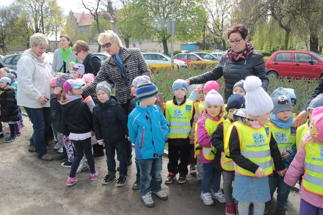 Przedszkolaki zasiały kwiaty przed Urzędem Miasta Leszna (zdjęcia)