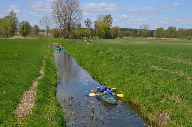 Samica znów czysta (zdjęcia)