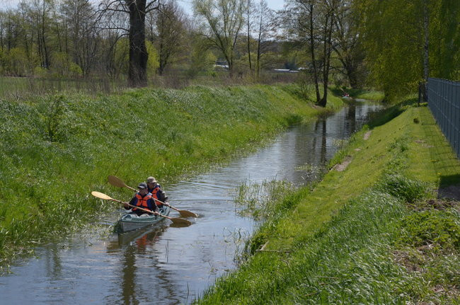 Samica znów czysta (zdjęcia)