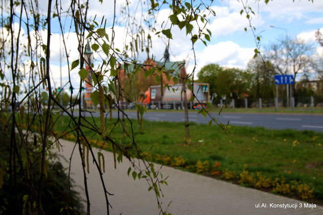 Leszno kwitnie. Zapraszamy na spacer po mieście (zdjęcia)
