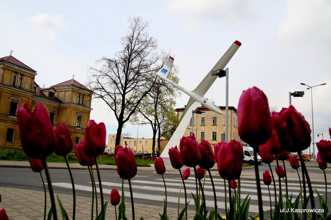 Leszno kwitnie. Zapraszamy na spacer po mieście (zdjęcia)