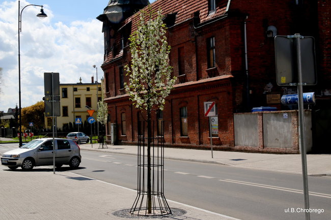 Leszno kwitnie. Zapraszamy na spacer po mieście (zdjęcia)
