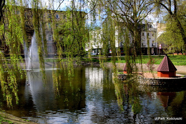 Leszno kwitnie. Zapraszamy na spacer po mieście (zdjęcia)