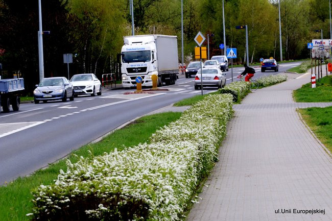 Leszno kwitnie. Zapraszamy na spacer po mieście (zdjęcia)