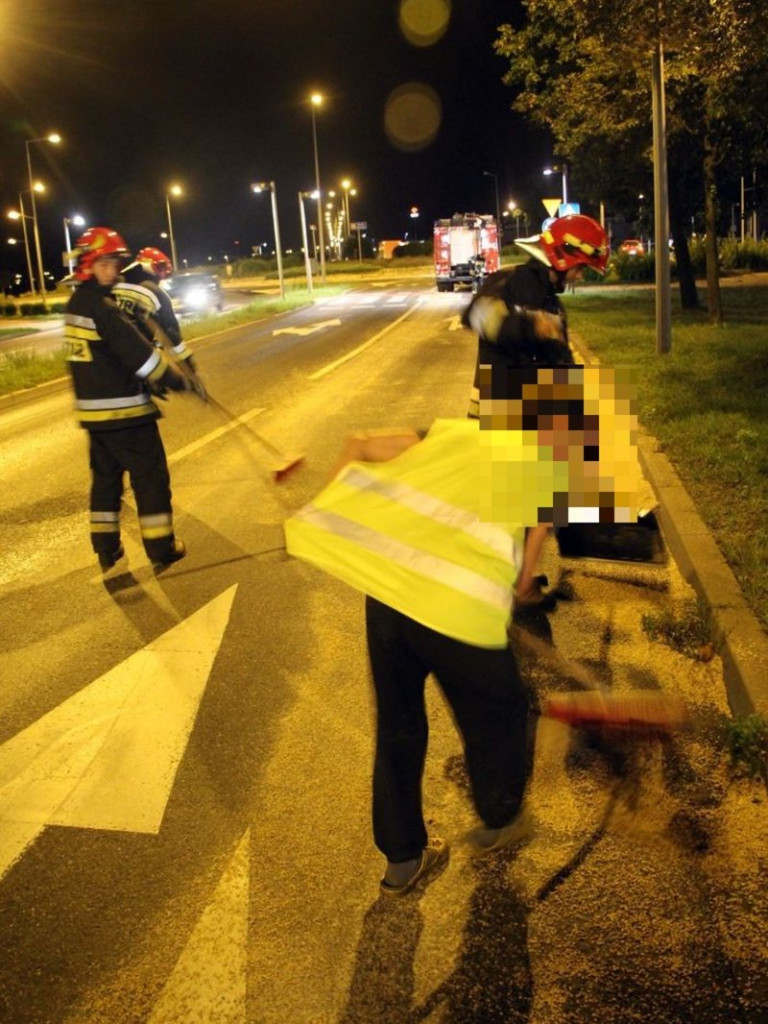Ziarno na drodze (zdjęcia)