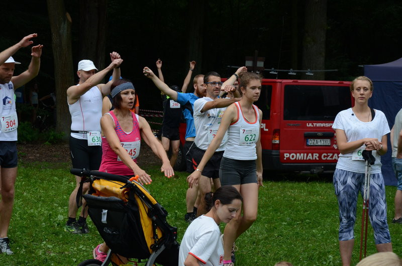 W cieniu bukowego lasu (zdjęcia)