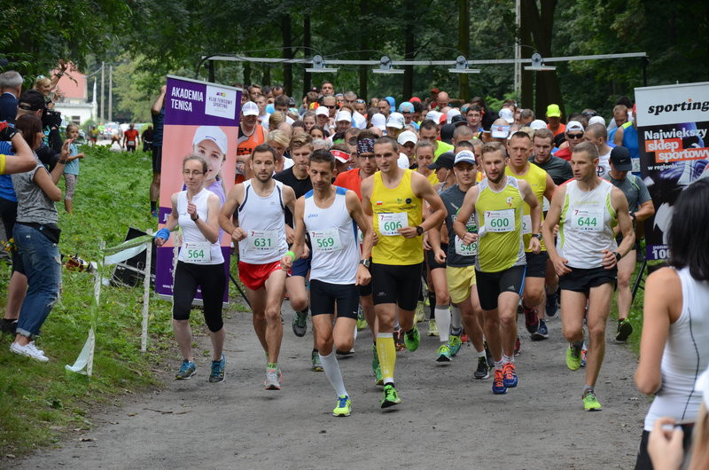 W cieniu bukowego lasu (zdjęcia)