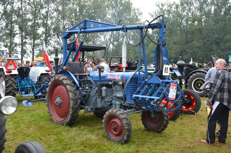 Tłumy mimo deszczu (zdjęcia)