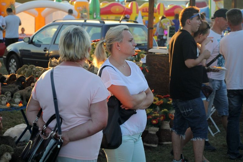 Muzyczne szaleństwo pod wiatrakiem (zdjęcia)