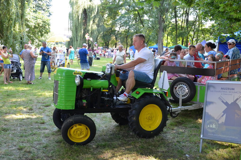 Miło dla ucha i smacznie dla brzucha (zdjęcia)
