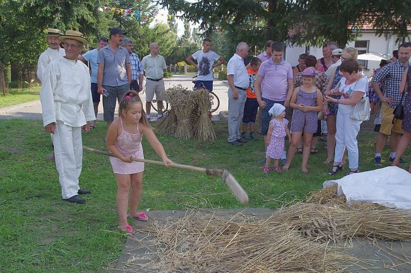 Święto Chleba w Pawłowicach (zdjęcia)