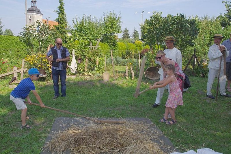Święto Chleba w Pawłowicach (zdjęcia)