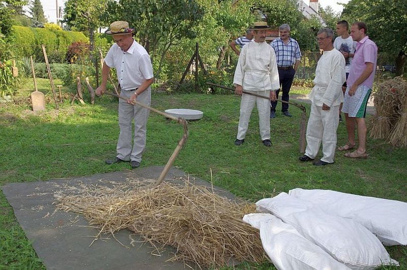 Święto Chleba w Pawłowicach (zdjęcia)