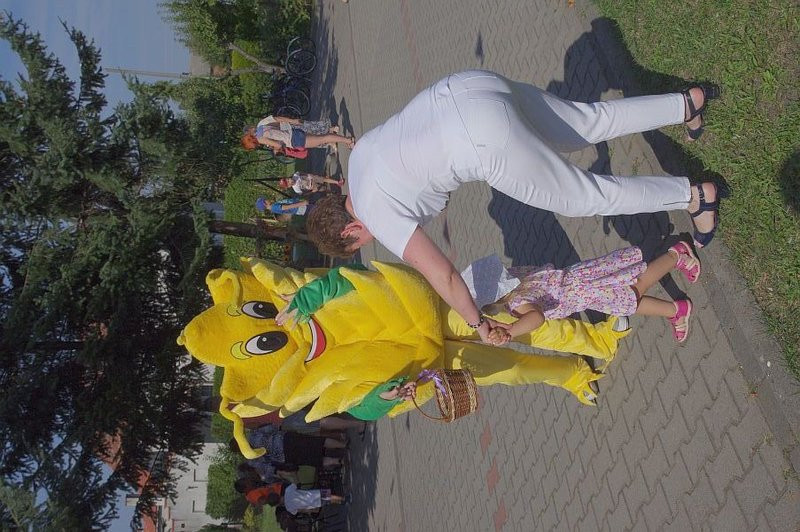 Święto Chleba w Pawłowicach (zdjęcia)