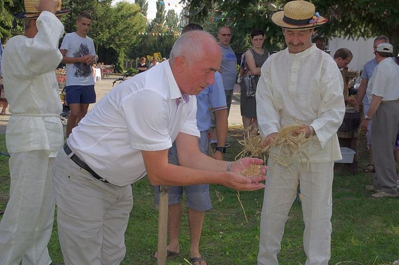 Święto Chleba w Pawłowicach (zdjęcia)