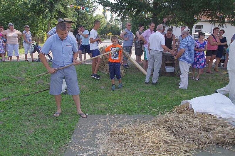 Święto Chleba w Pawłowicach (zdjęcia)
