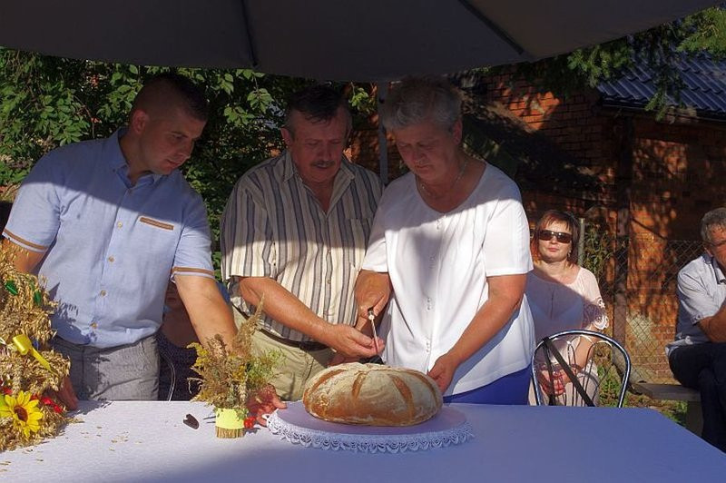 Święto Chleba w Pawłowicach (zdjęcia)
