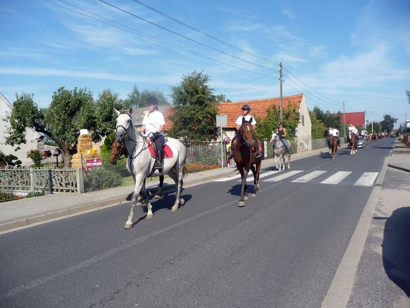 Parada słomianych dożynkowych postaci (zdjęcia)