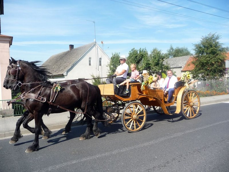 Parada słomianych dożynkowych postaci (zdjęcia)