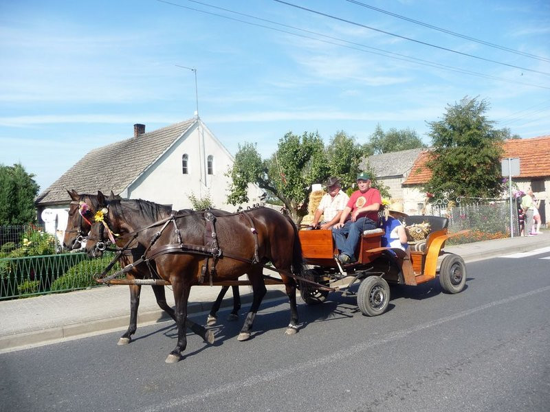Parada słomianych dożynkowych postaci (zdjęcia)