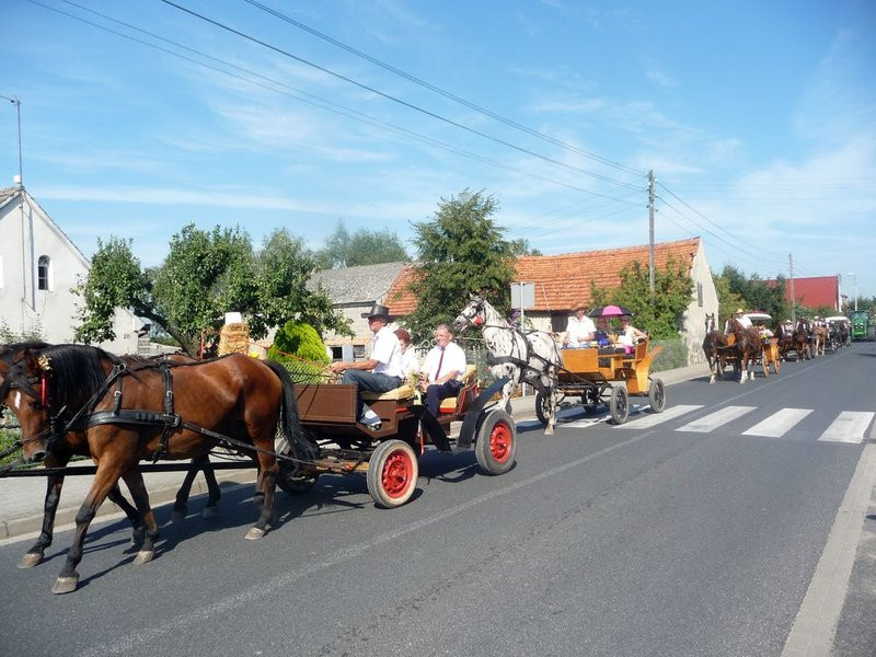 Parada słomianych dożynkowych postaci (zdjęcia)