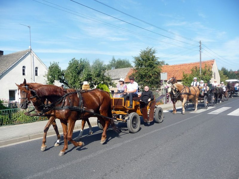 Parada słomianych dożynkowych postaci (zdjęcia)