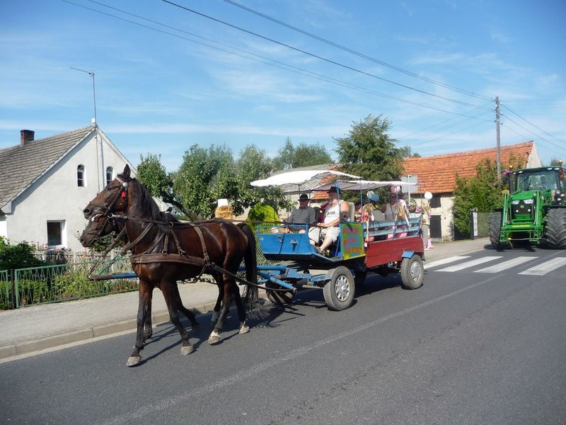 Parada słomianych dożynkowych postaci (zdjęcia)
